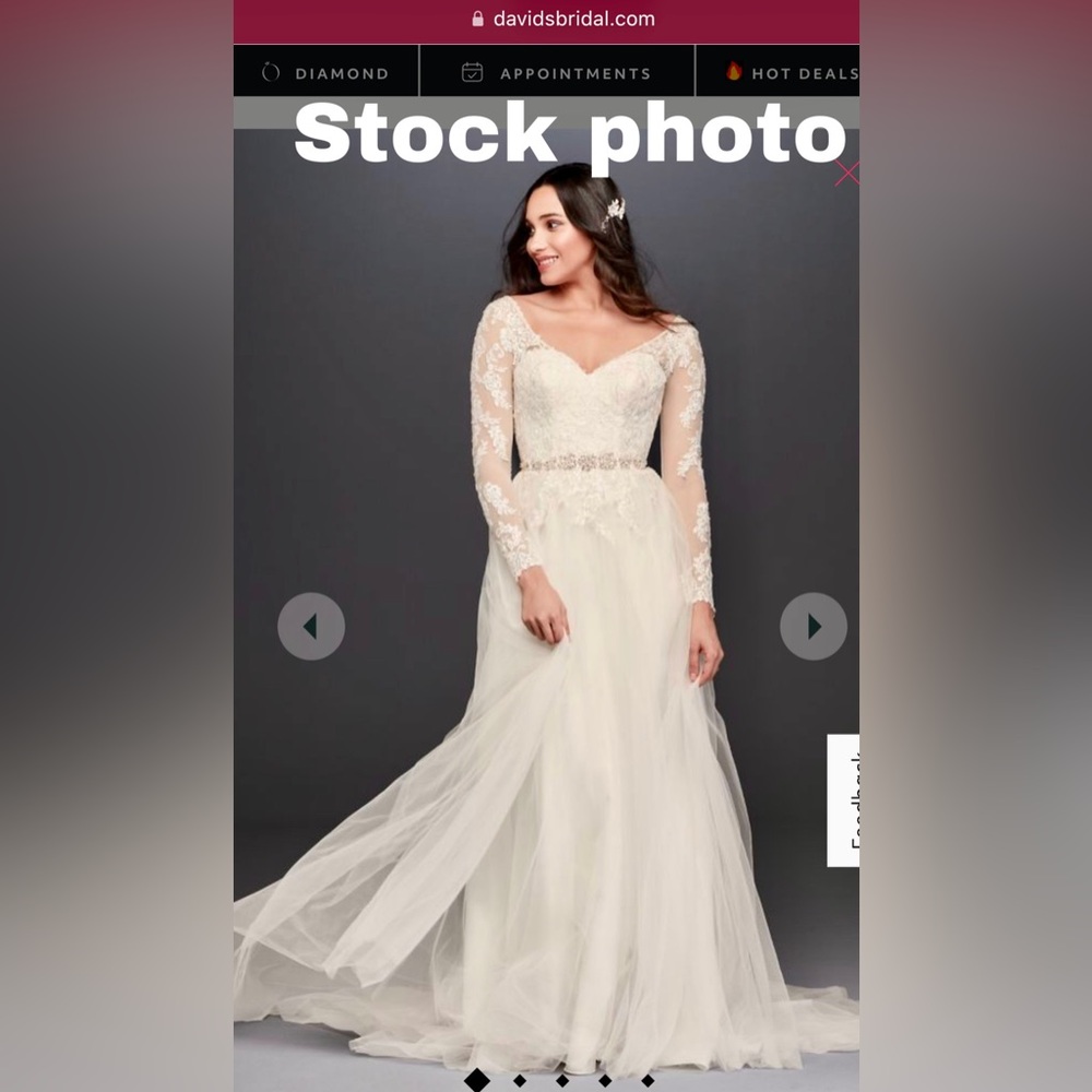 Never worn or altered ivory David’s Bridal Wedding dress/bag. Size 28W